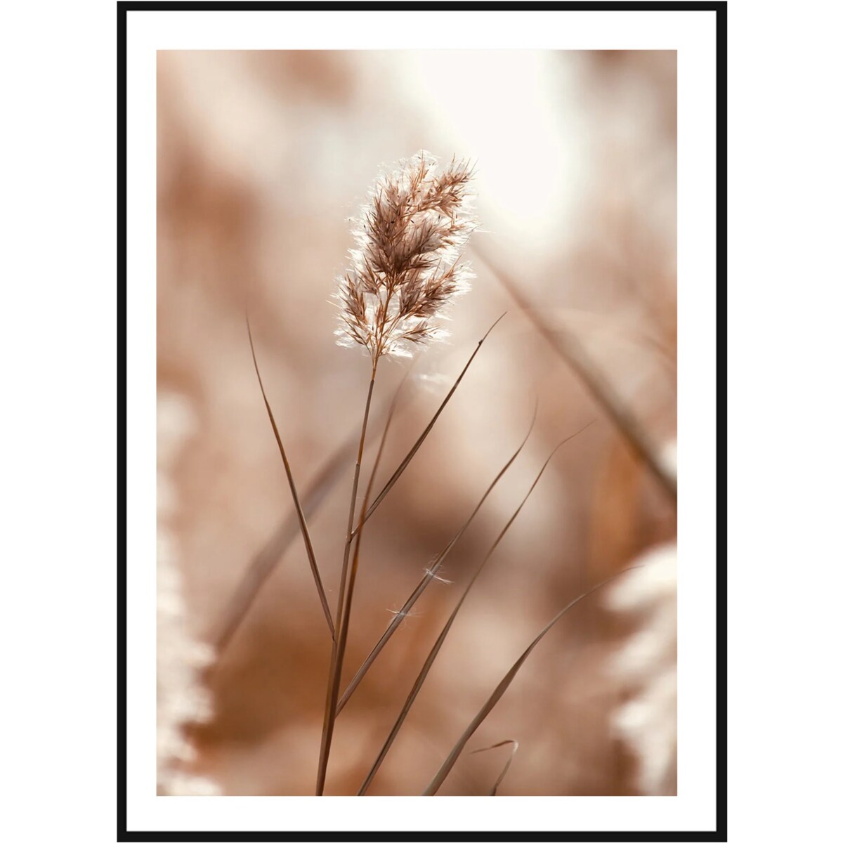 Poster Story, Plakat, Obraz - Samotna Trzcina, wymiary 70 x 100 cm