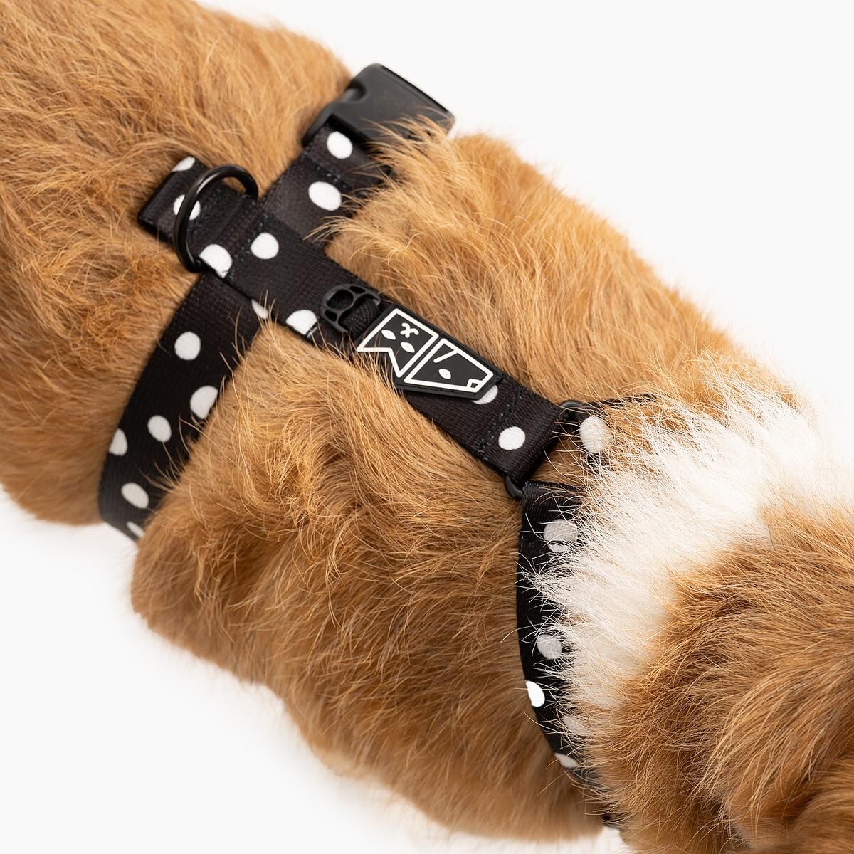 Szelki dla psa lub kota typu guard "Psygarnij kropka" - Szerokość taśmy: 38mm, Rozmiar: XL