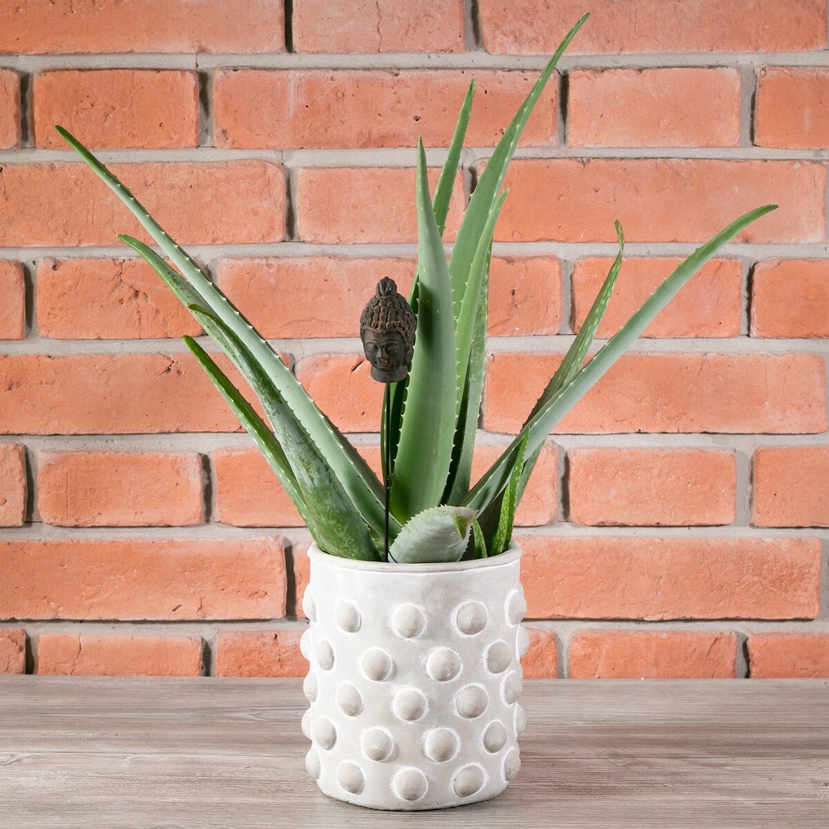 DONICA KNOP betonowa XL