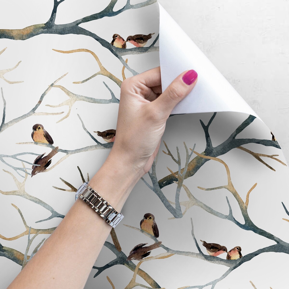 Tapeta Wróble na gałązce, 416x254cm