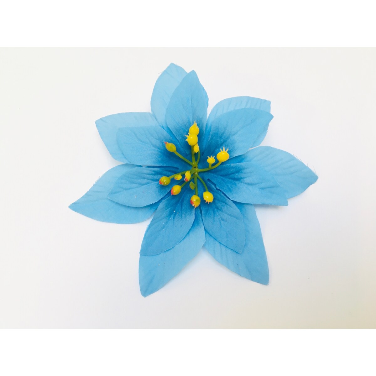 GWIAZDA betlejemska poinsecja niebieska na doniczka choinka święta 12 szt