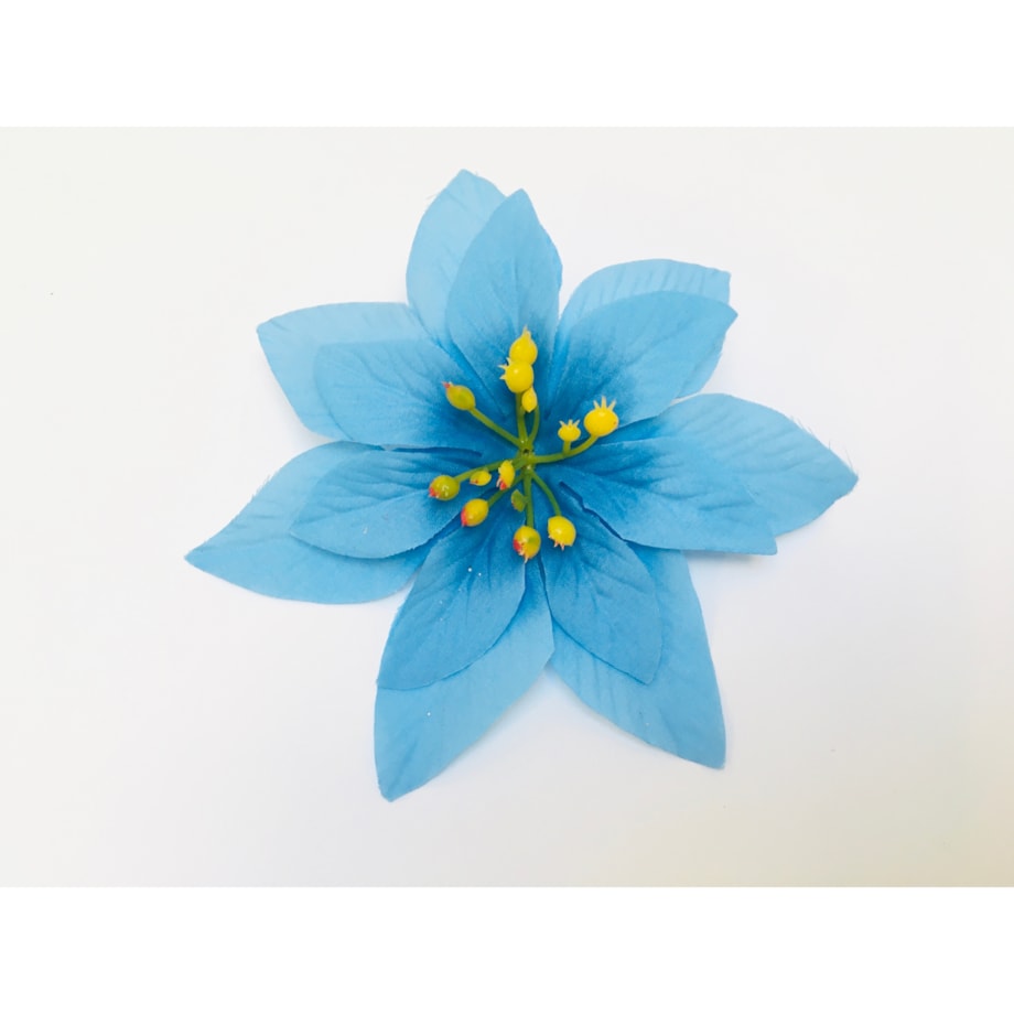 GWIAZDA betlejemska poinsecja niebieska na doniczka choinka święta 12 szt