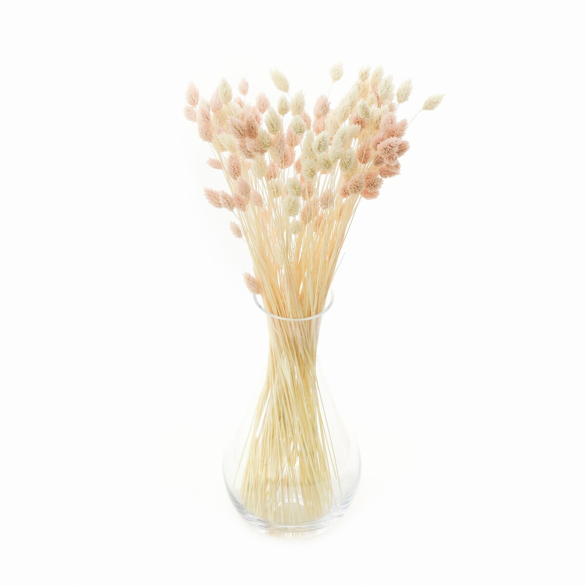 Zestaw suszonych traw - biel & jasnyróż