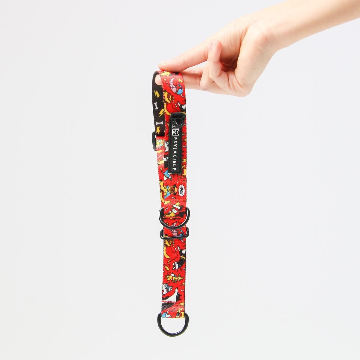 Obroża półzaciskowa dla psa lub kota "Pies, który lata najlepsze ma za sobą" - Szerokość taśmy: 38mm, Rozmiar: XS