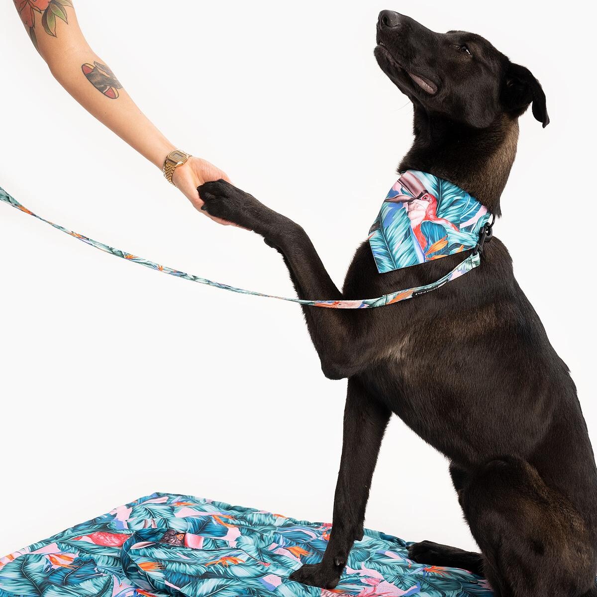 Legowisko materac "Mokry sen kury"