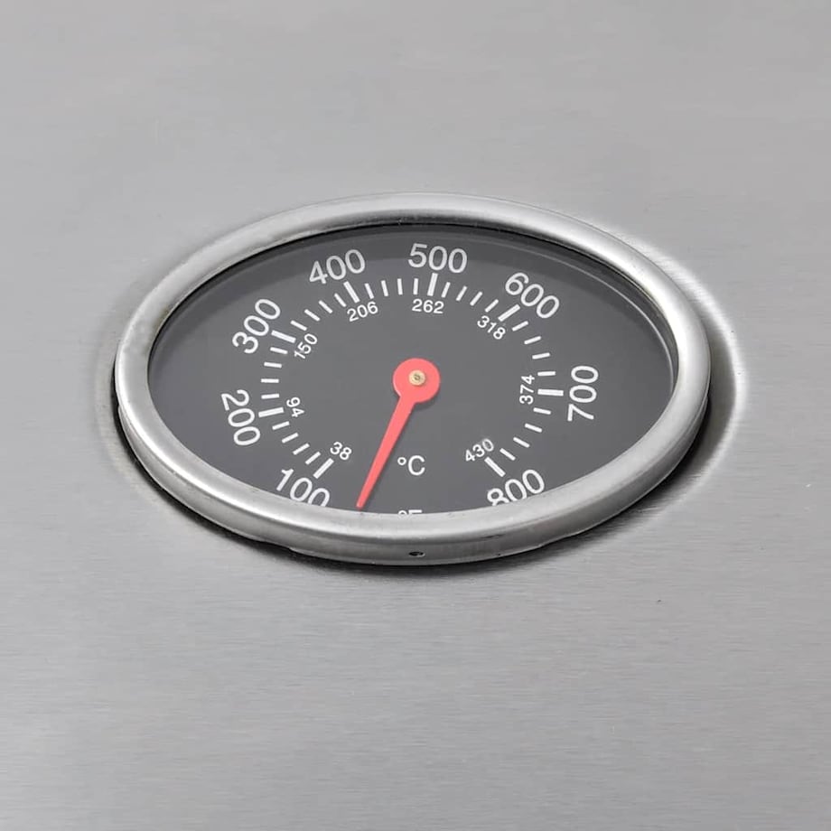 vidaXL Grill gazowy ze strefą gotowania 4+1, kolor czarno-srebrny