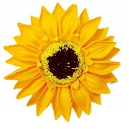 1x SŁONECZNIK DUŻY kwiat mydlany pachnie główka