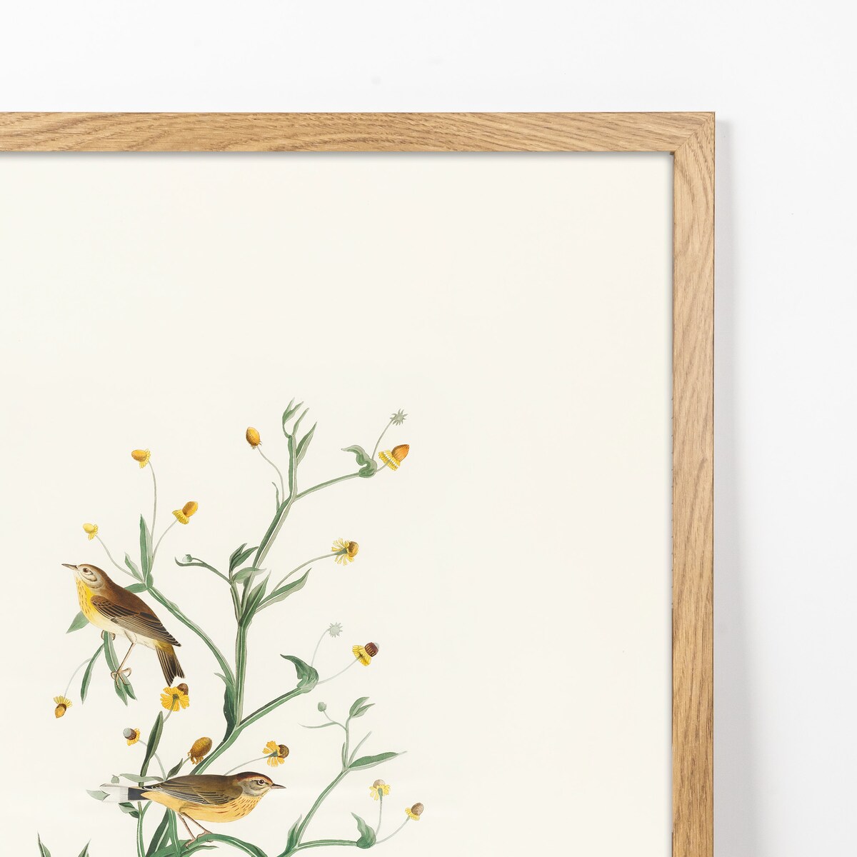 Ramka na zdjęcia 40x60 cm dębowa rama MDF z plexi do powieszenia pion poziom klasyczna prostokątna ramka FRAMAI®