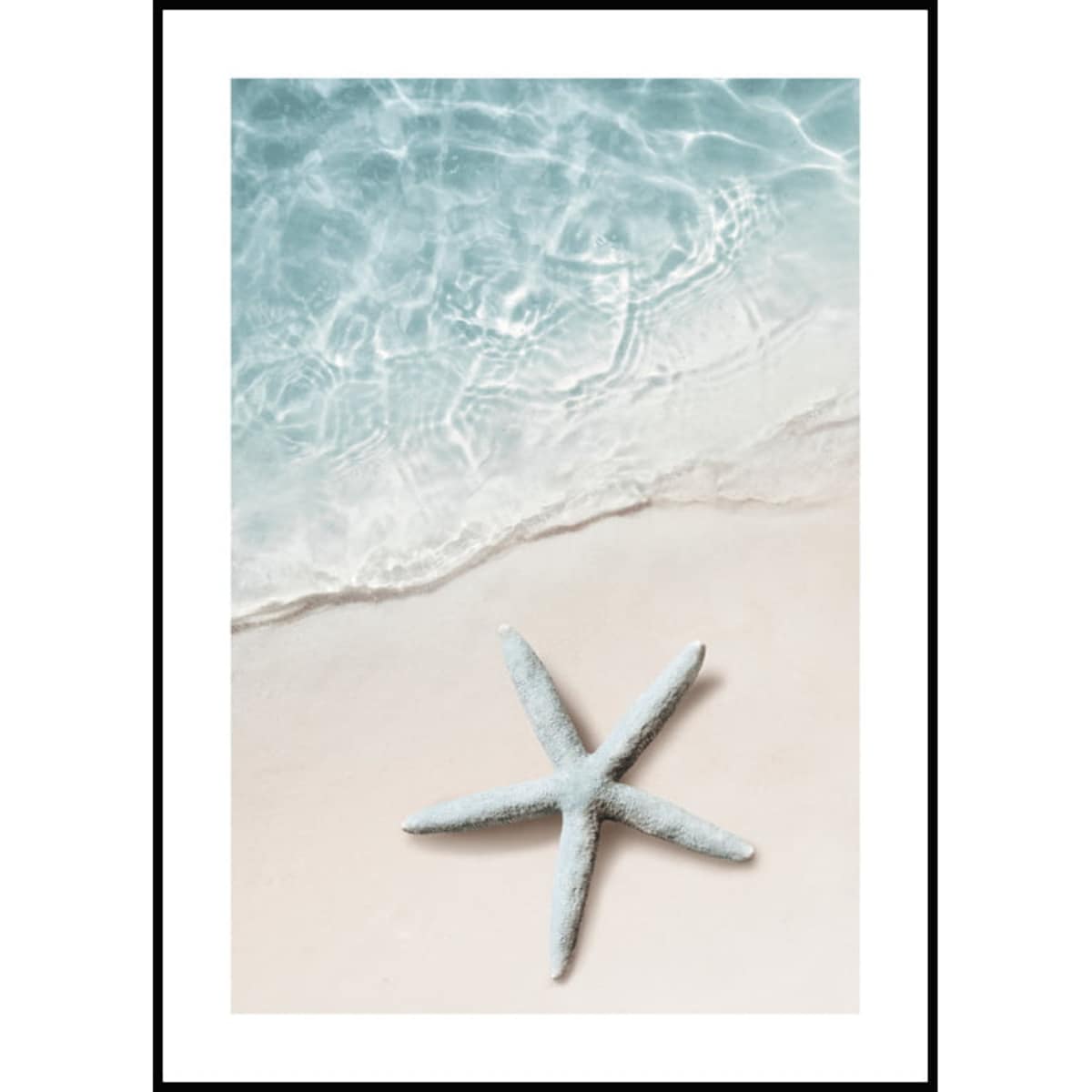 Poster Story, Plakat, Obraz - Rozgwiazda, wymiary 70 x 100 cm