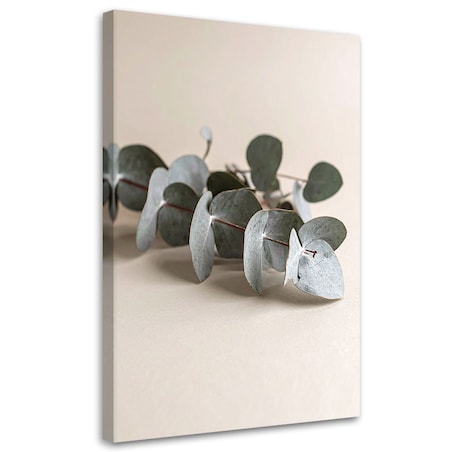 Obraz do salonu nowoczesny, Liście rośliny natura beżowy 60x90