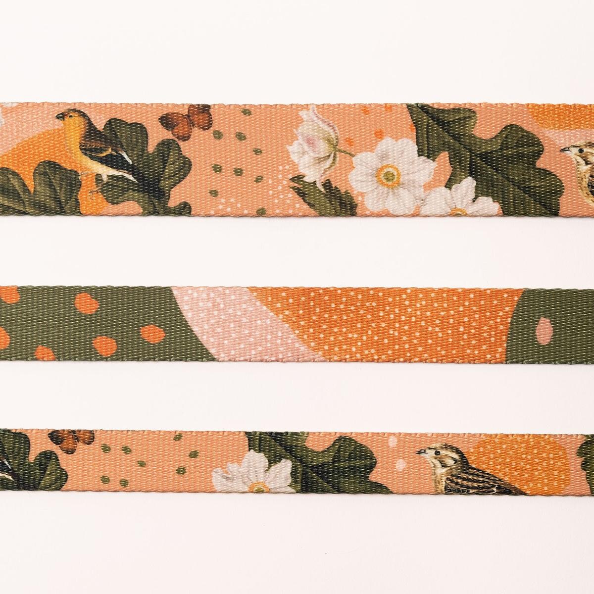 Obroża dla psa lub kota "Wie wiórka co dobre" - Szerokość taśmy: 38mm, Rozmiar: M