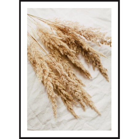 Poster Story, Plakat, Obraz - Suche Trawy Trzciny, wymiary 21 x 30 cm
