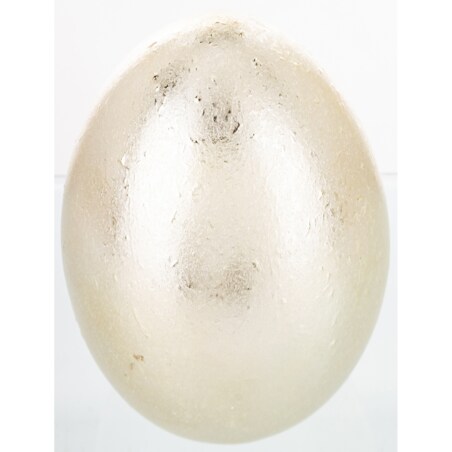 Dekoracja - srebrne jajko z ceramiki 15x10x10 cm MONNI - V