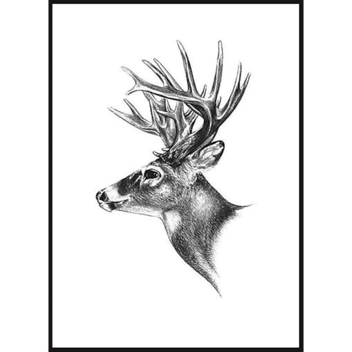 Poster Story, Plakat, Obraz - Renifer w Akwareli, wymiary 50 x 70 cm