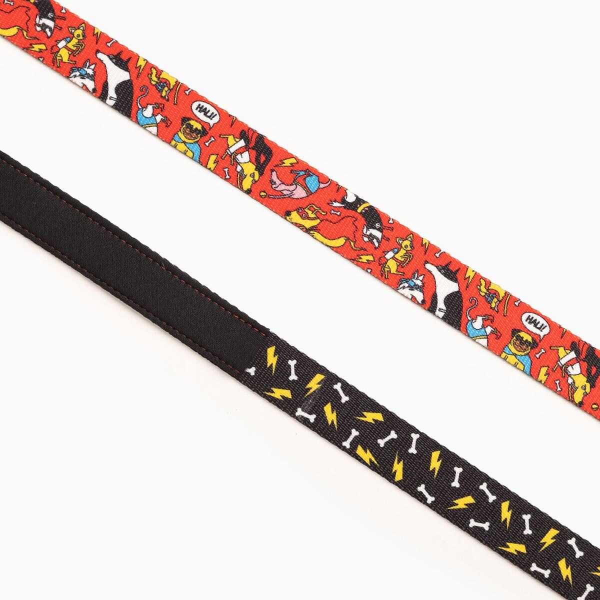 Smycz miejska dla psa lub kota "Pies, który lata najlepsze ma za sobą" - Szerokość taśmy: 25mm, Rozmiar: S oraz Rodzaj: Mały karabinek