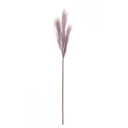 Trawa pampasowa 100cm light violet, 2 x 2 x 100 cm
