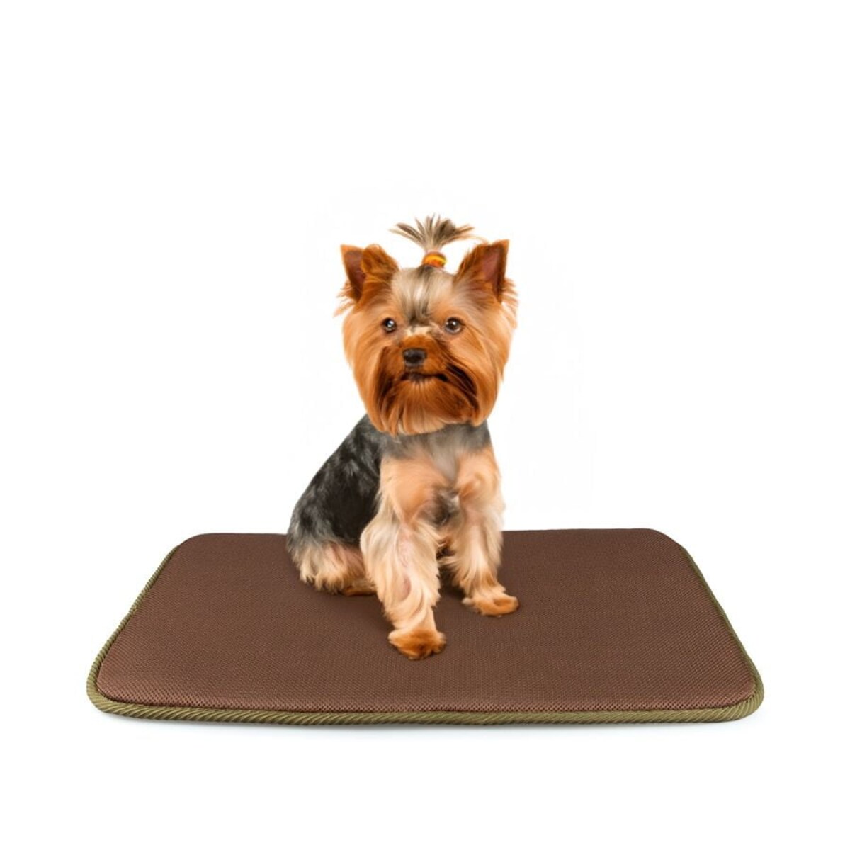 Legowisko dla psa prostokątne S 3D brązowe