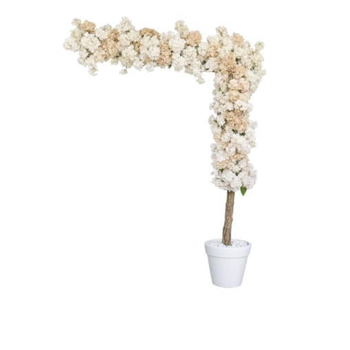 Instalacja/witryna z kwiatów 270cm wys. i 200cm szer.