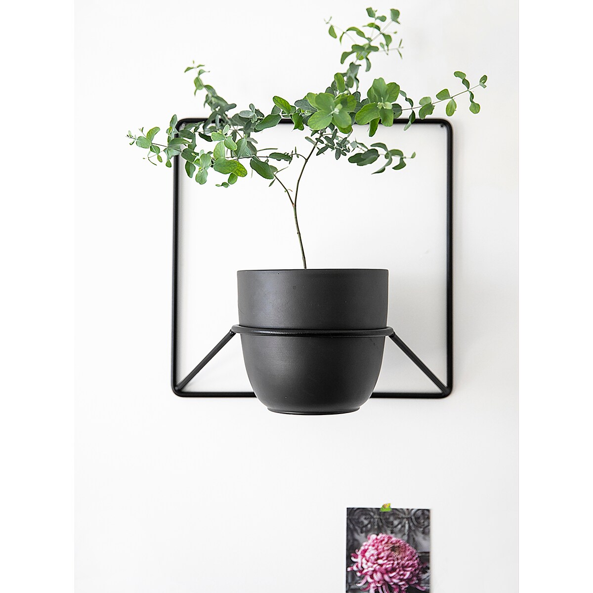 Kwietnik Jeno czarny