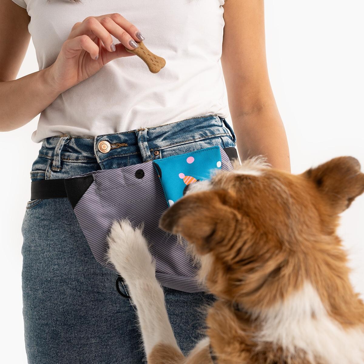 Saszetka treningowa na smaczki "Łot de fok?"