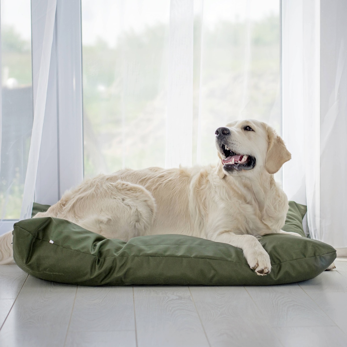Wodoodporna poduszka dla psa ZOE, 60x50 cm, Zielony