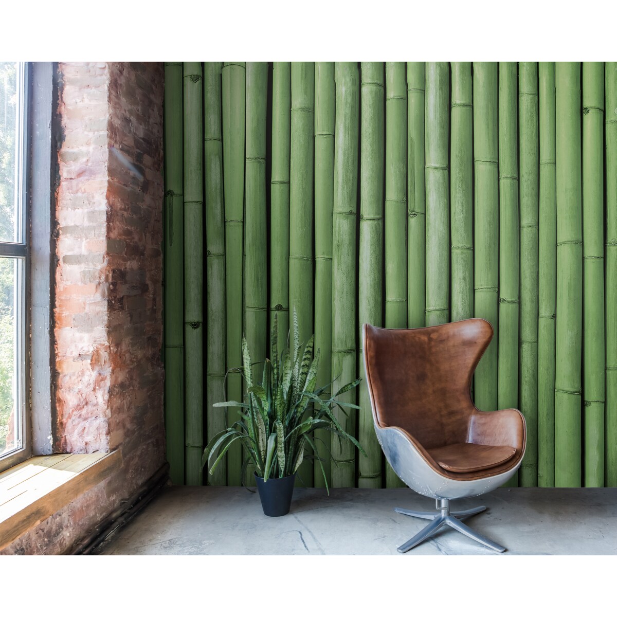 Tapeta Bambusowa ściana, 416x254cm