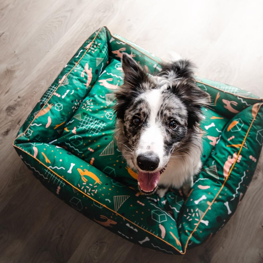 Kanapa ortopedyczna "Psy na jawie" - Rozmiar: S