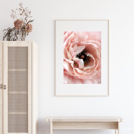 Poster Story, Plakat, Obraz - Piwonia w Zbliżeniu w Pełnym Rozkwicie, wymiary 50 x 70 cm