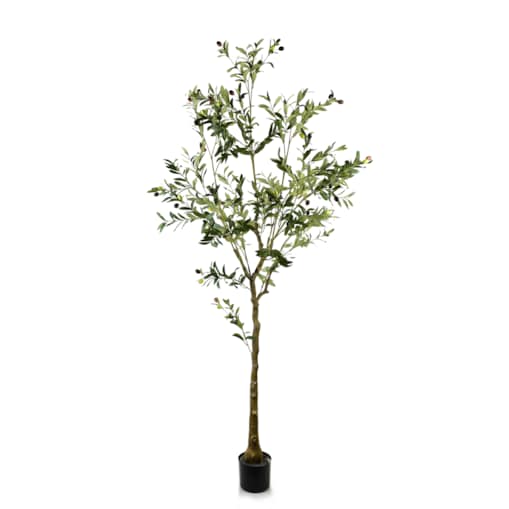 OLIVES Kwiat sztuczny h:180cm