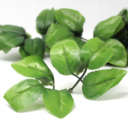 10x LIŚCIE do kwiatów mydlanych dodatek RÓŻY liść