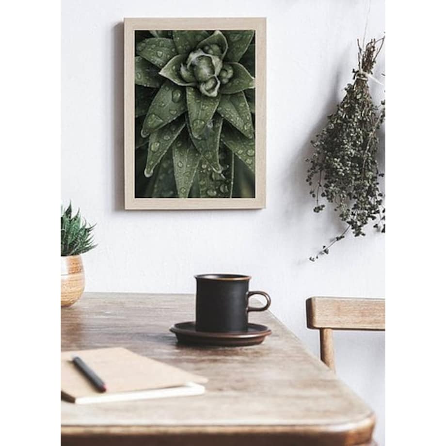 Poster Story, Plakat, Obraz - Aloes Ościsty, wymiary 60 x 84 cm