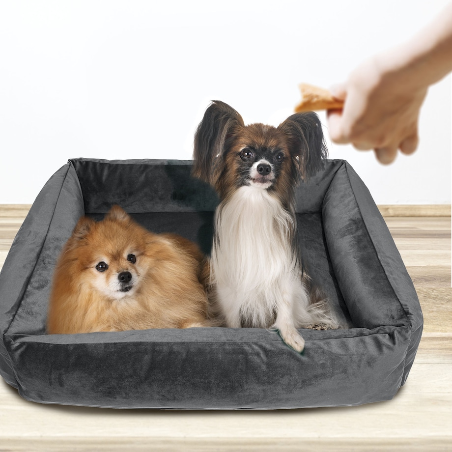 Legowisko Dla Psa Kanapa Posłanie Welurowe 70X60 Cm Prestiżowe Szare