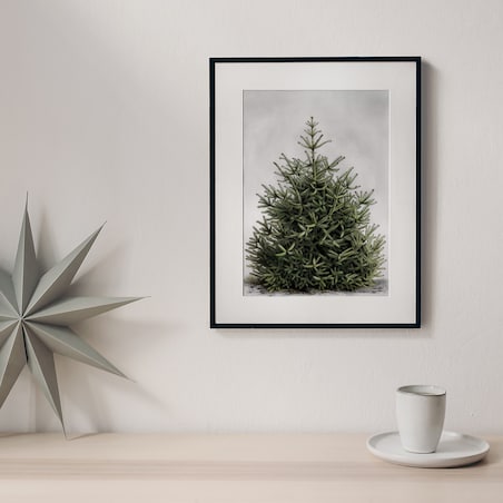 Plakat Jodła w Czarnej Ramce
