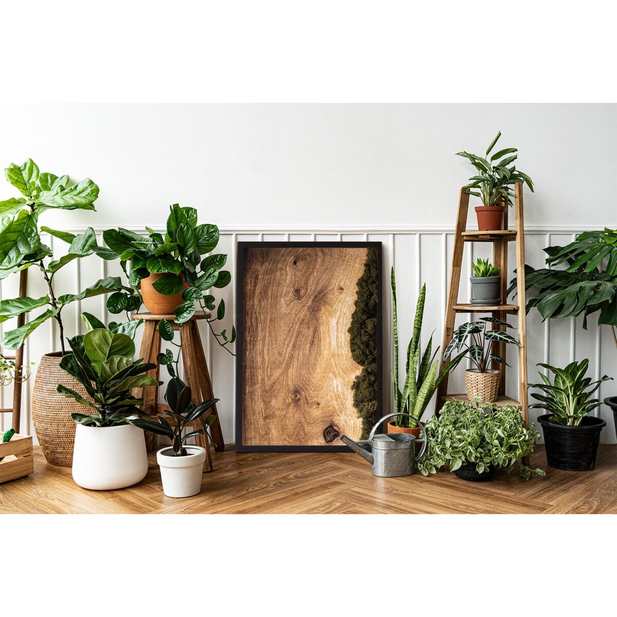Obraz Dębowa deska naturalna - mech chrobotek w czarnej ramie 40x60cm