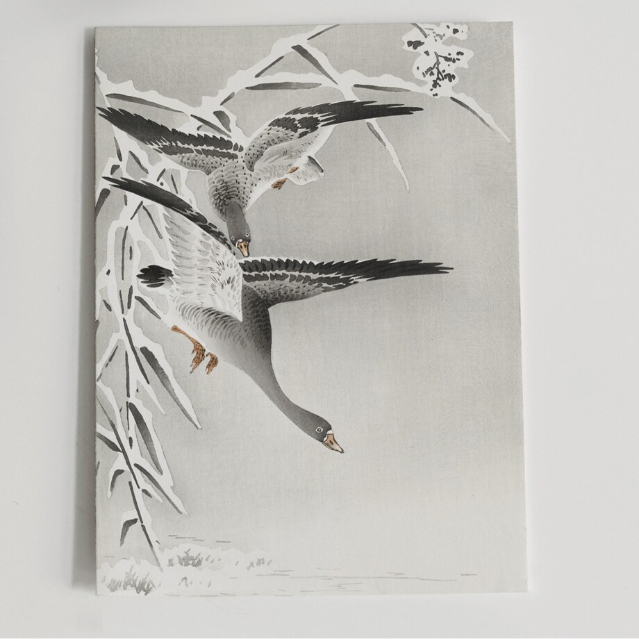 Plakat Gęsi 21x30cm