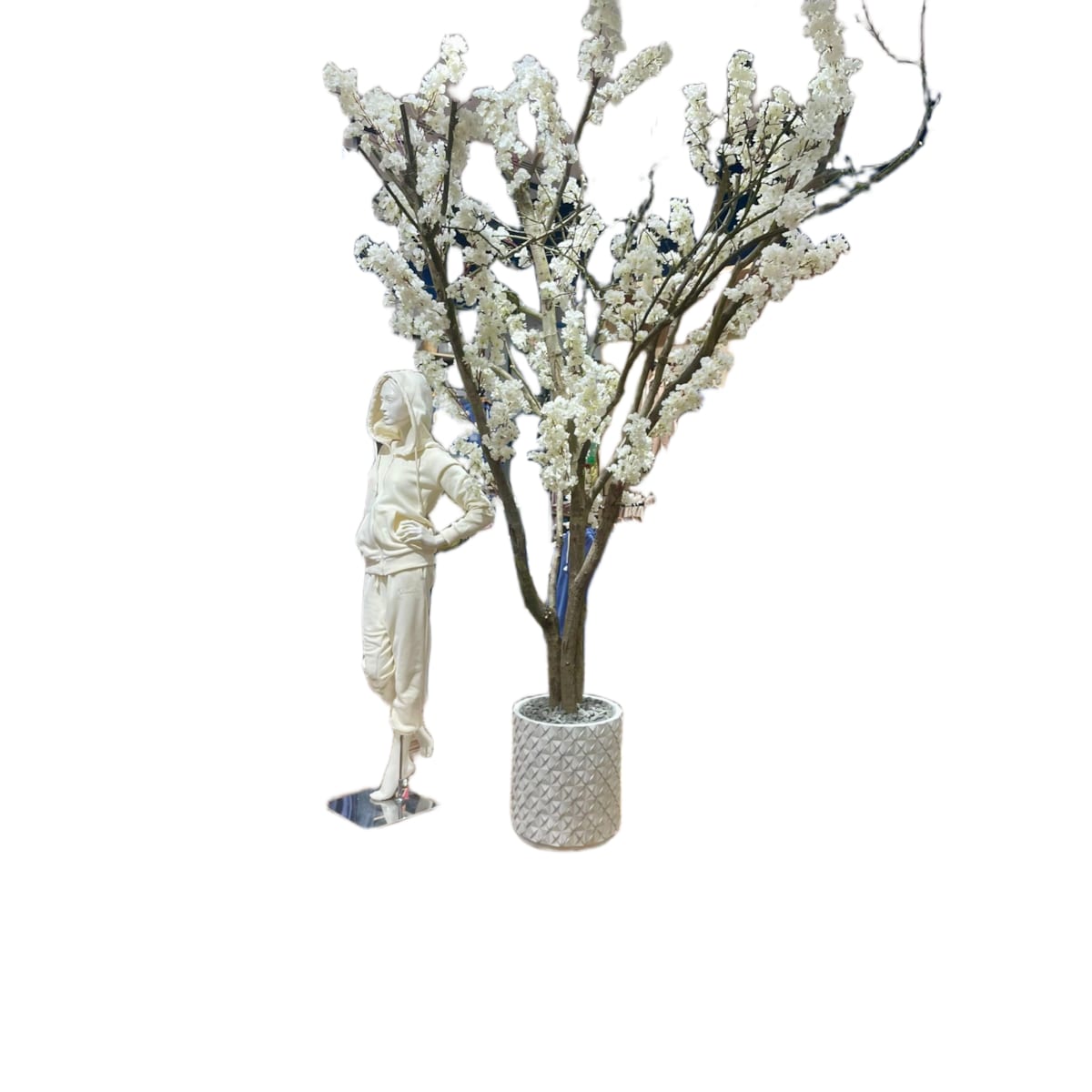 Drzewo kwitnącej jabłoni białej na naturalnym pniu 280 cm