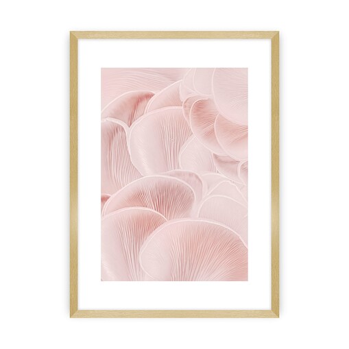 Plakat Pastel Pink I, 40 x 50 cm, Ramka: Złota