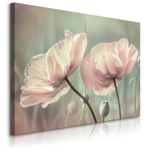 Obraz Na Płótnie Białe Tulipany Kwiaty Natura Rośliny Do Sypialni 70x50cm