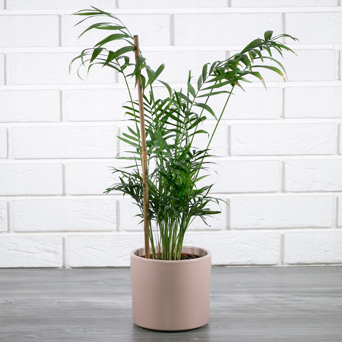 RÓŻOWA DONICA ceramiczna śr. 13cm