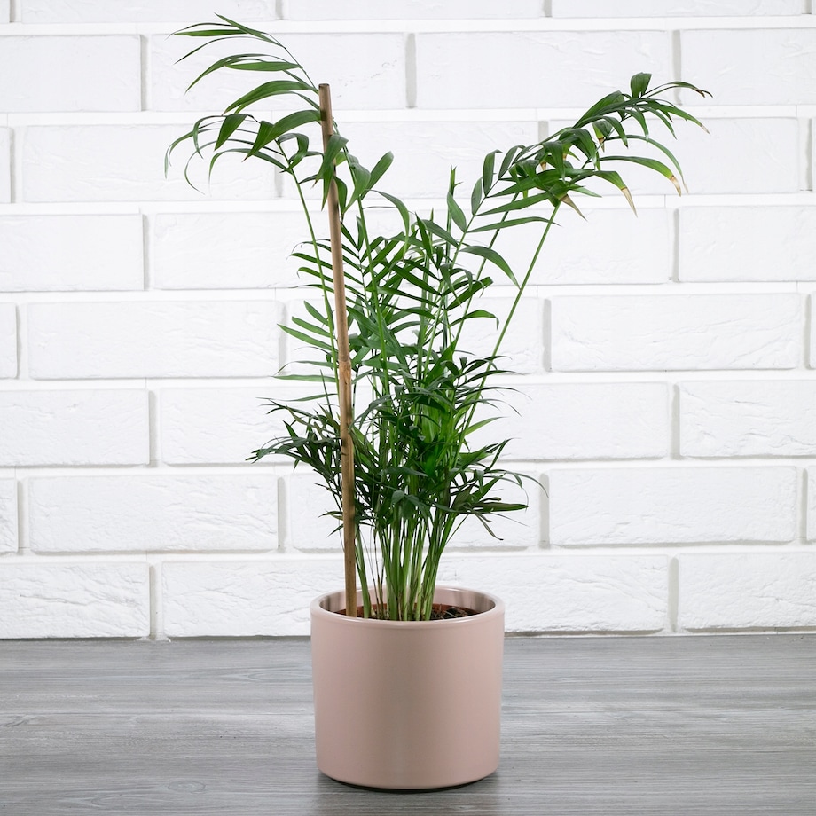 RÓŻOWA DONICA ceramiczna śr. 13cm