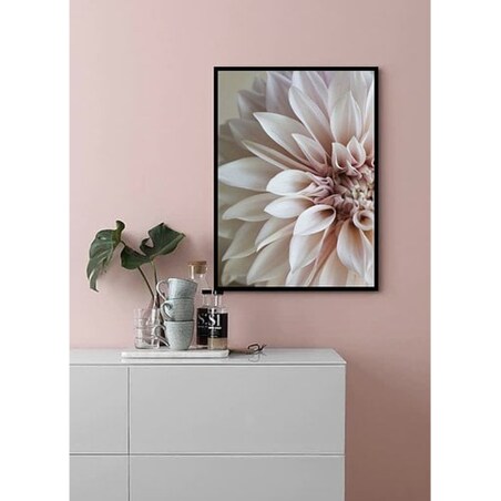 Poster Story, Plakat, Obraz - Kwiat Dalia No1, wymiary 42 x 60 cm