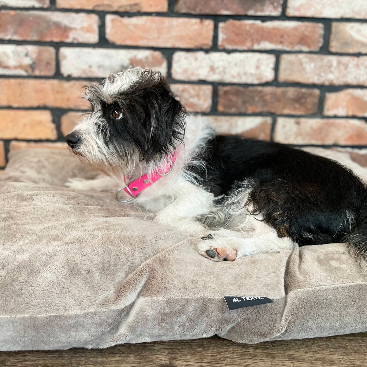 Miękka poduszka dla psa MALIBU, 100x80 cm, Brąz