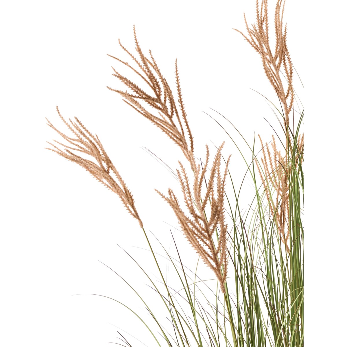 Sztuczna roślina CLAW FLOWER 150 cm Zielony