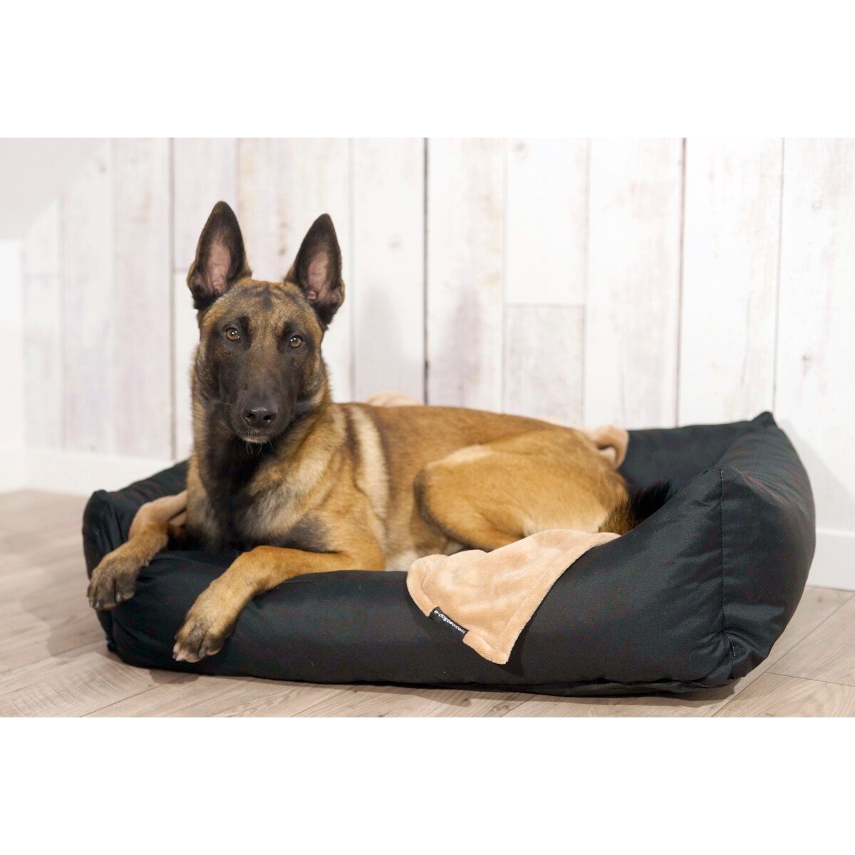 Wodoodporne legowisko dla psa KOKO, 80x60 cm, Czarny