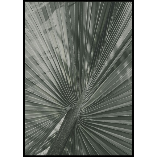 plakat liść palmowy 21x30 cm