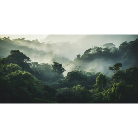 Fototapeta 09-Las_We_Mgle Do Sypialni Salonu Tapeta Ścienna 150X105