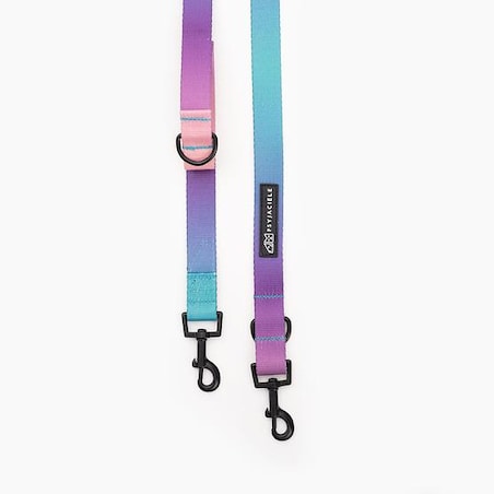 Smycz przepinana dla psa lub kota "Under my ombrella" TURKUS