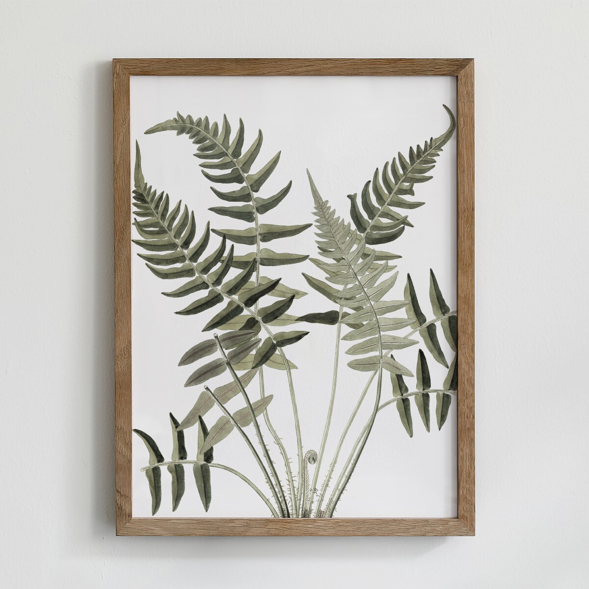 Zestaw 6 Ilustracji 21x30cm