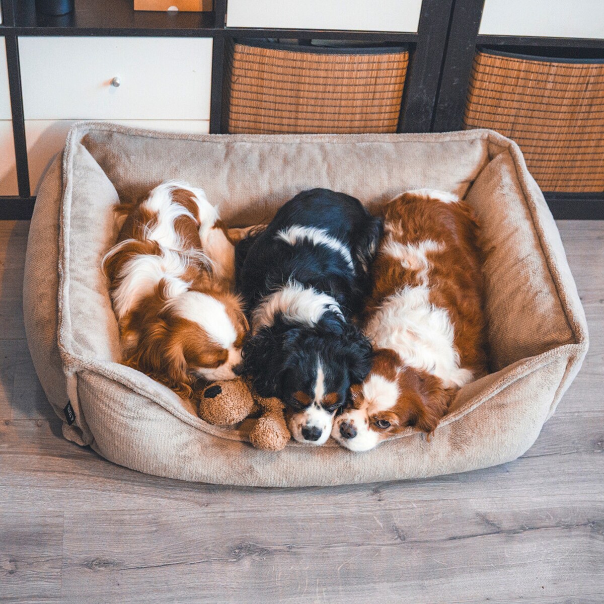 Ortopedyczne legowisko dla psa IRIS, 80x60 cm, Brąz