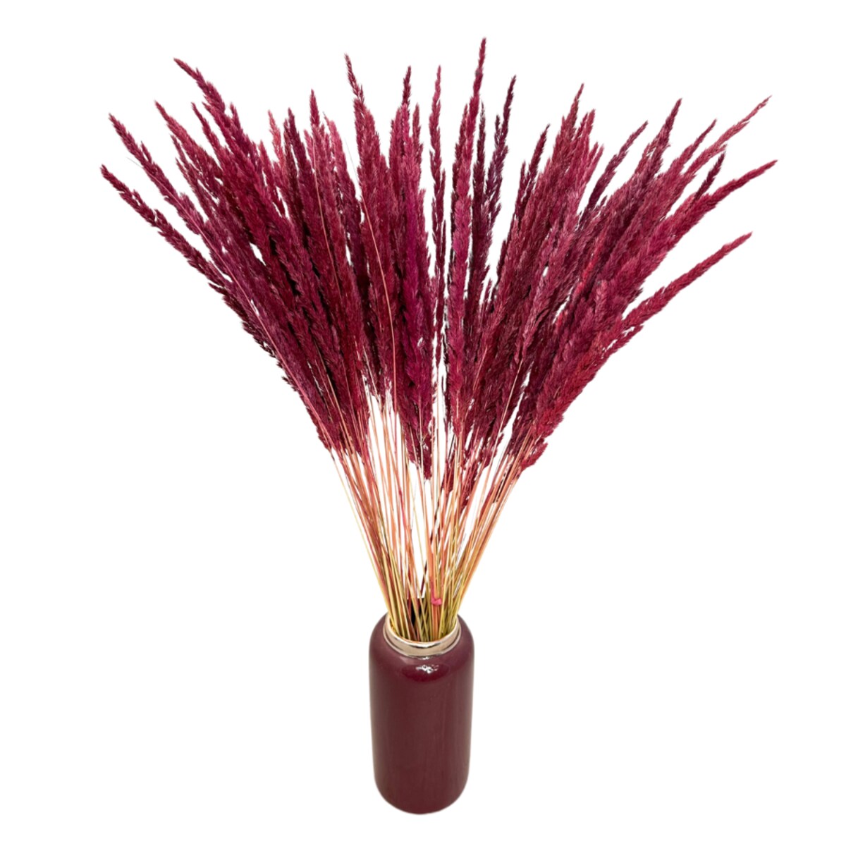 Suszona trawa leśna burgundowa - trawy ozdobne